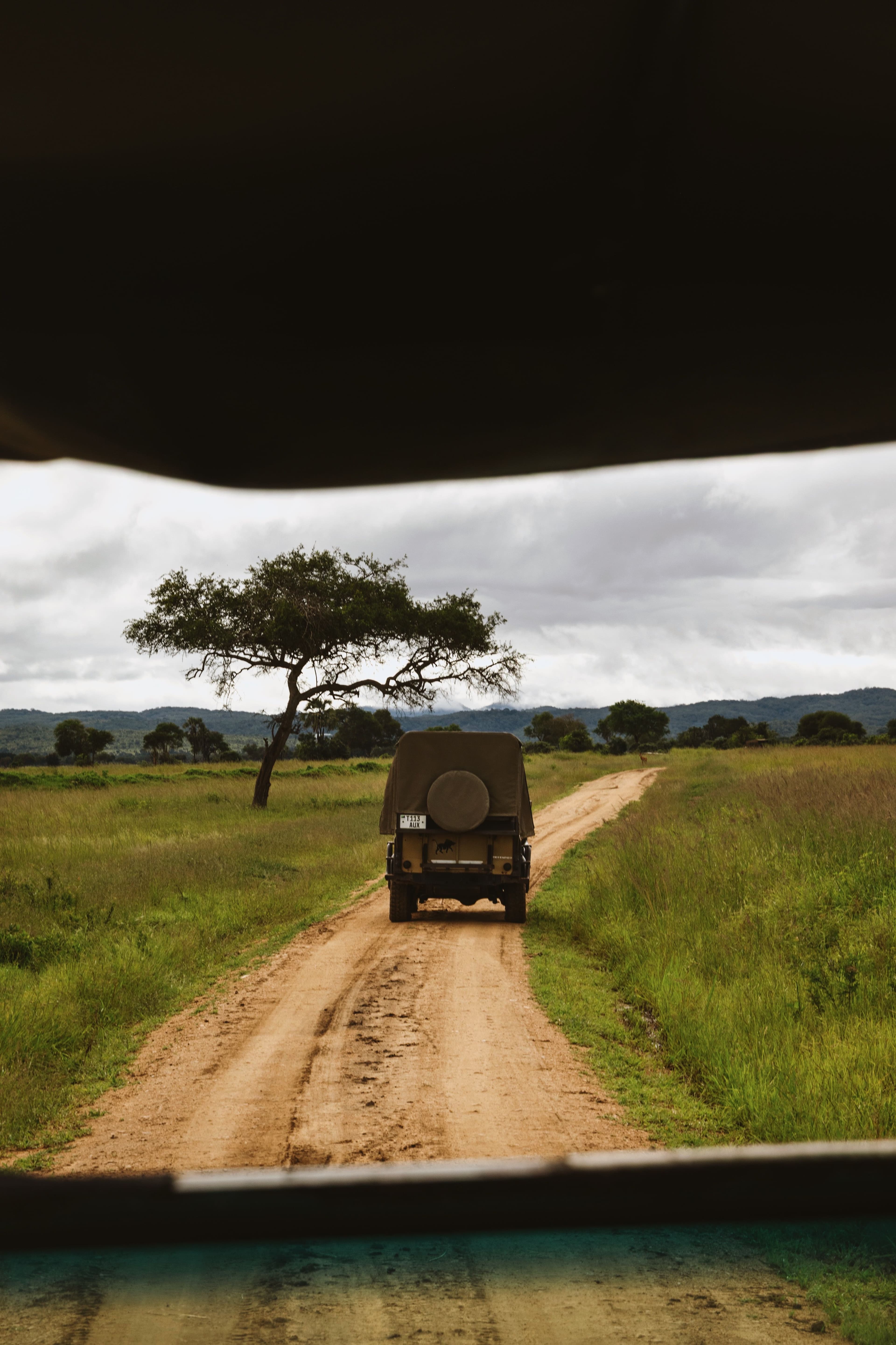 Veículo de safari numa estrada de terra batida, entre pastagens verdes e acácias