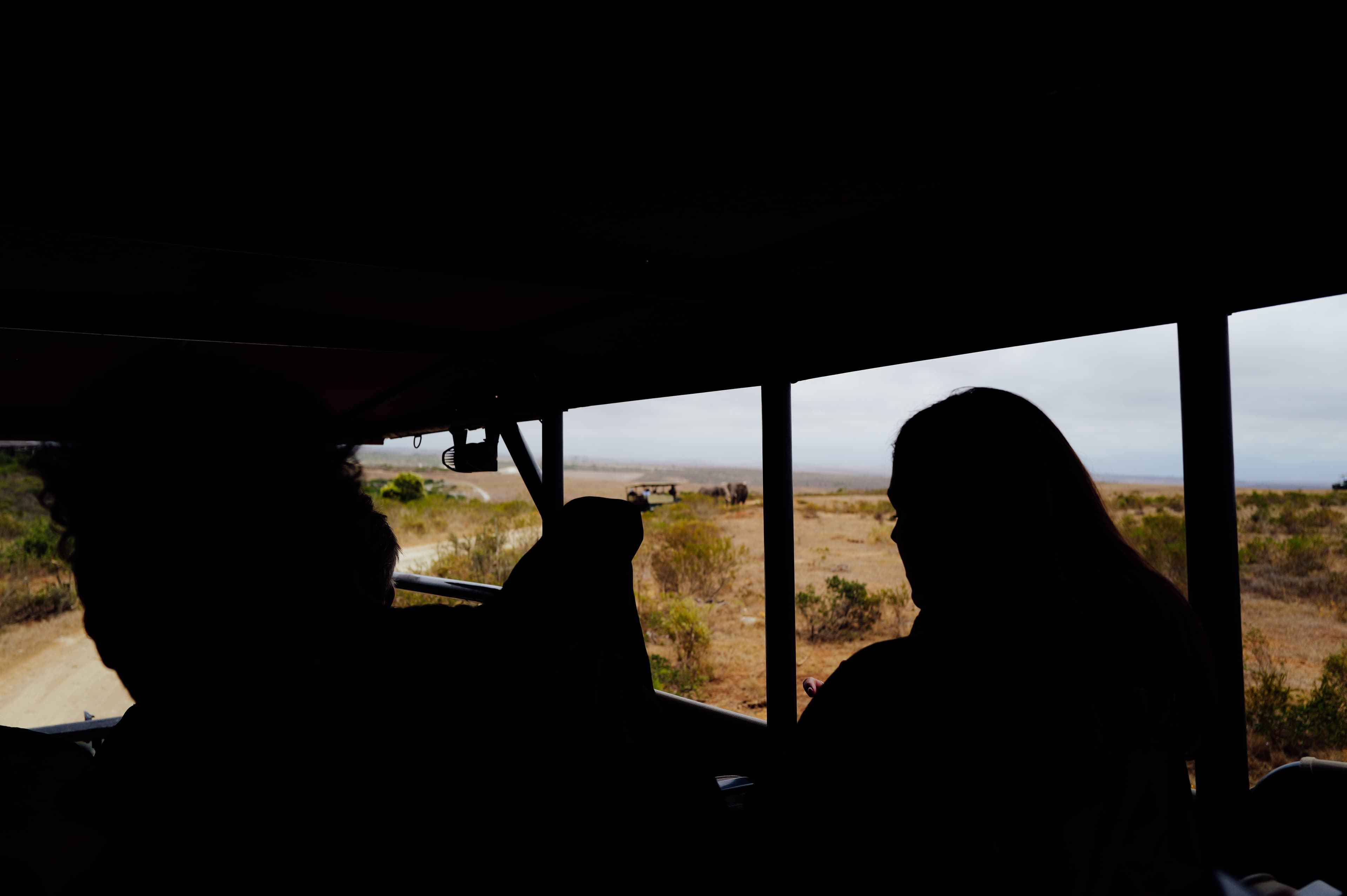 Participantes observam a paisagem a partir do interior de um veículo de safari